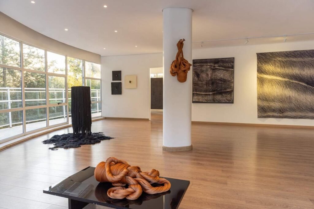 Exposição Germinações chega a Belo Horizonte e reúne Vera Martins e Armarinhos Teixeira em diálogo sobre matéria e transformação