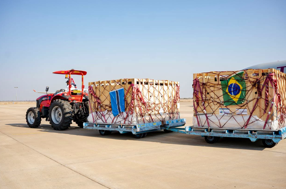 Captura-de-tela-2026-07-15-153715 Brasil faz primeira exportação de Girolando para Botswana
