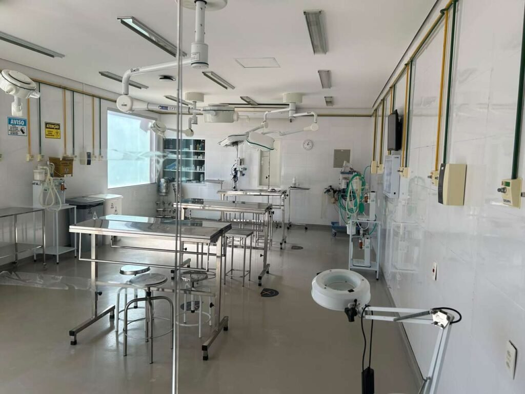 Hospital Veterinário do UniBH mantém atendimento à pets durante as férias