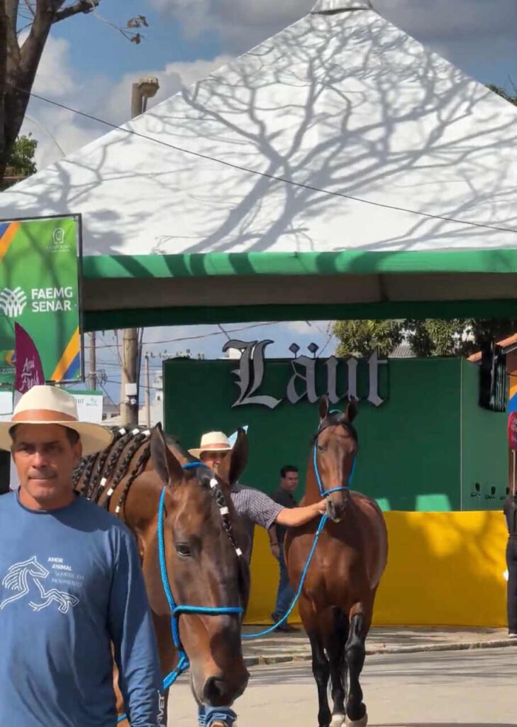 Belo Horizonte recebe a 46ª Exposição Nacional do Cavalo Campolina com entrada gratuita, shows e lazer para a família