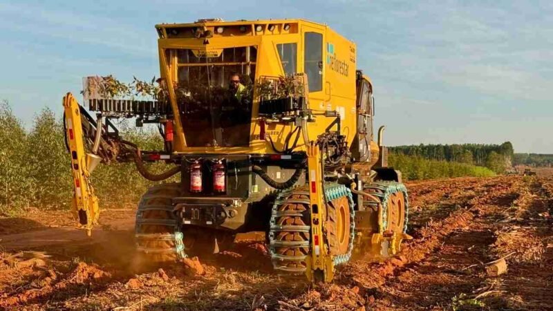 Reflorestar expande atuação com novas soluções mecanizadas para o setor florestal