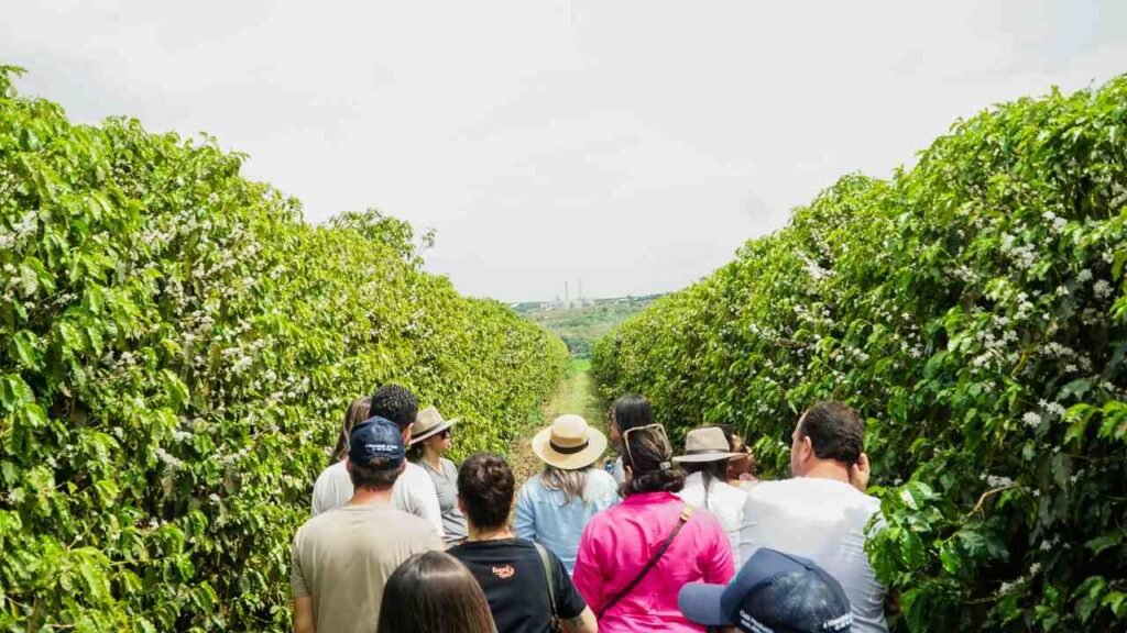 TURISMO_Easy-Resize.com_-1024x576 Turismo mineiro cresce com 245 experiências criadas e aumento médio de 22% no faturamento das empresas